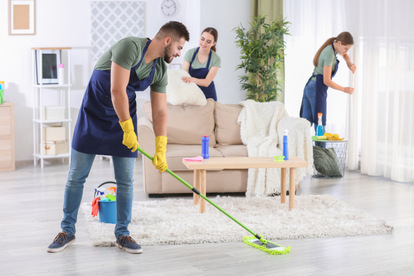 domestic cleaning companies